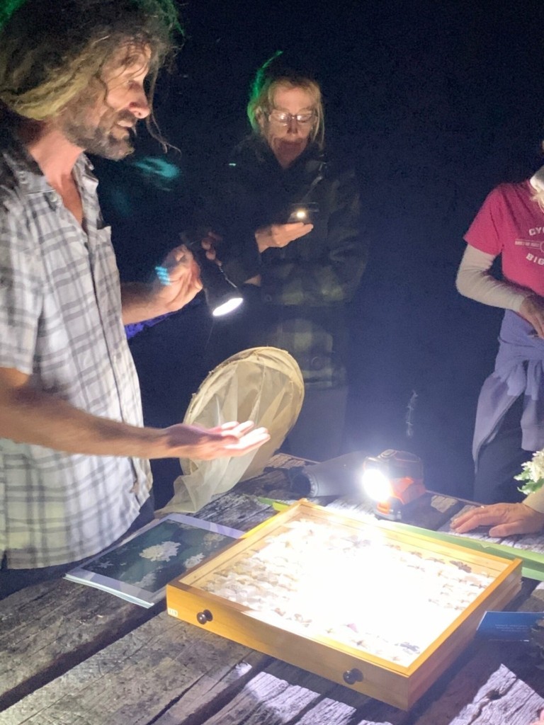 EIT event brings nocturnal world of moths to light | EIT Hawke’s Bay and Tairāwhiti