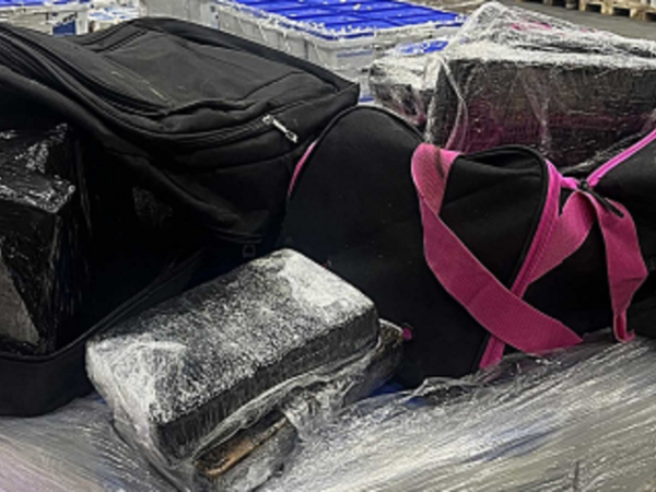 Stacks of cocaine unpacked in Mt Wellington