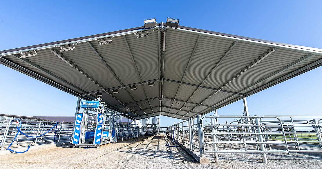 Joint dairy research facility in Manawatū boosts on-farm research