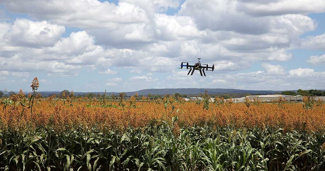 Agrifood Digital Lab and the NZ Product Accelerator announce hub for Palmerston North