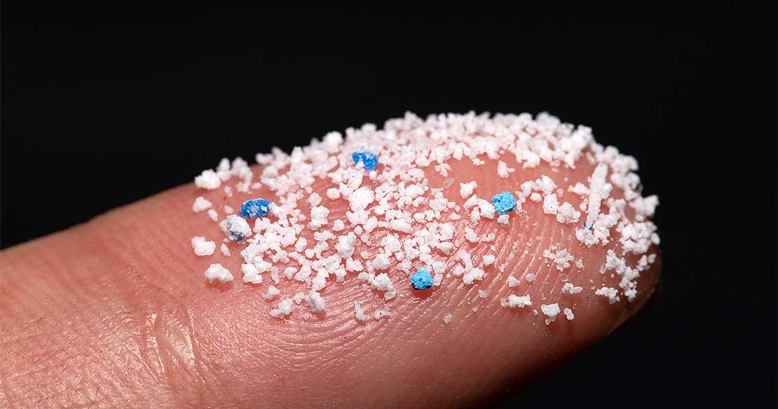 Microplastics revealed in New Zealand marine mammals for the first time